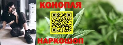 индика Гатчина