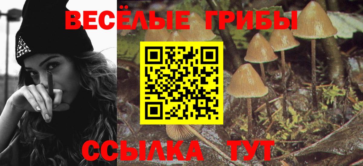 Галлюциногенные грибы Psilocybe  Галлюциногенные грибы Psilocybe  Вход с VPN  Заволжье 